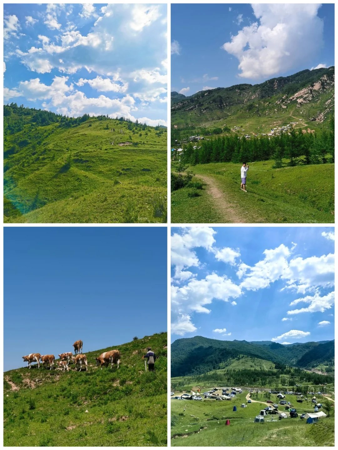 石家庄周边宝藏露营地🔥太适合躺平发呆了