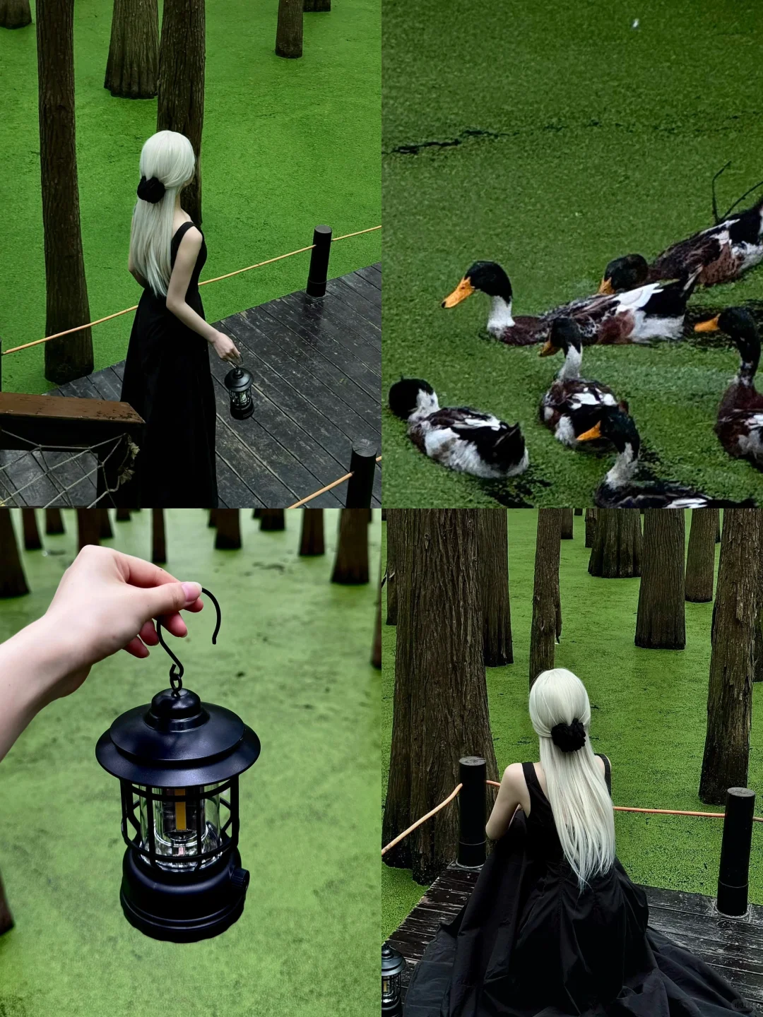 杭州青山湖真的绿啦🍃（附攻略）