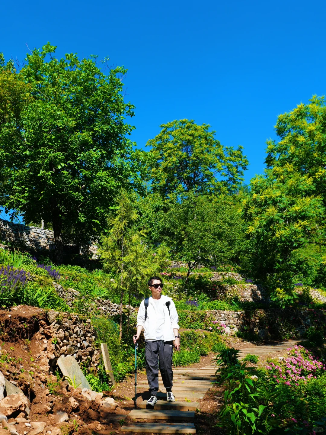 美哭了😭，拍到了同款莫奈花园，亲子友好