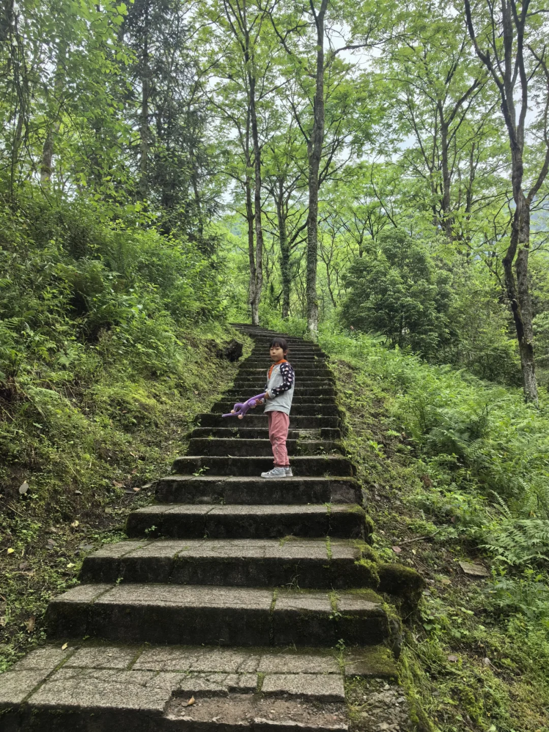 大邑大飞水亲子游—风中摇曳的百合花