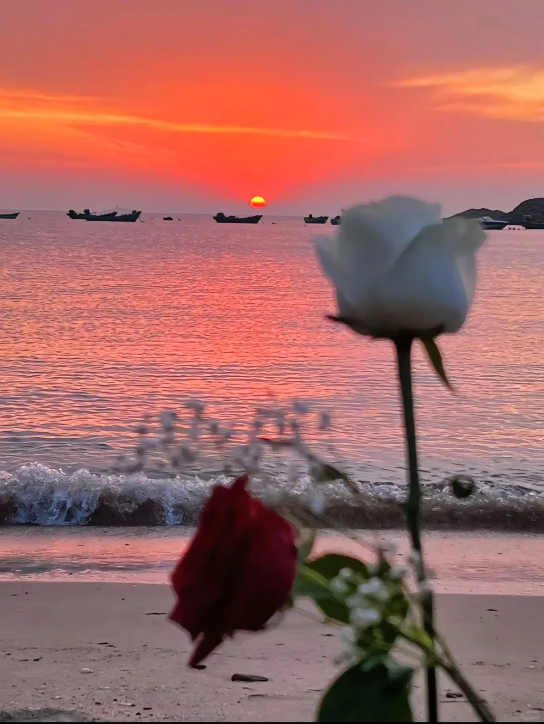 🌊五月威海五天四夜超强攻略 | 不踩雷的