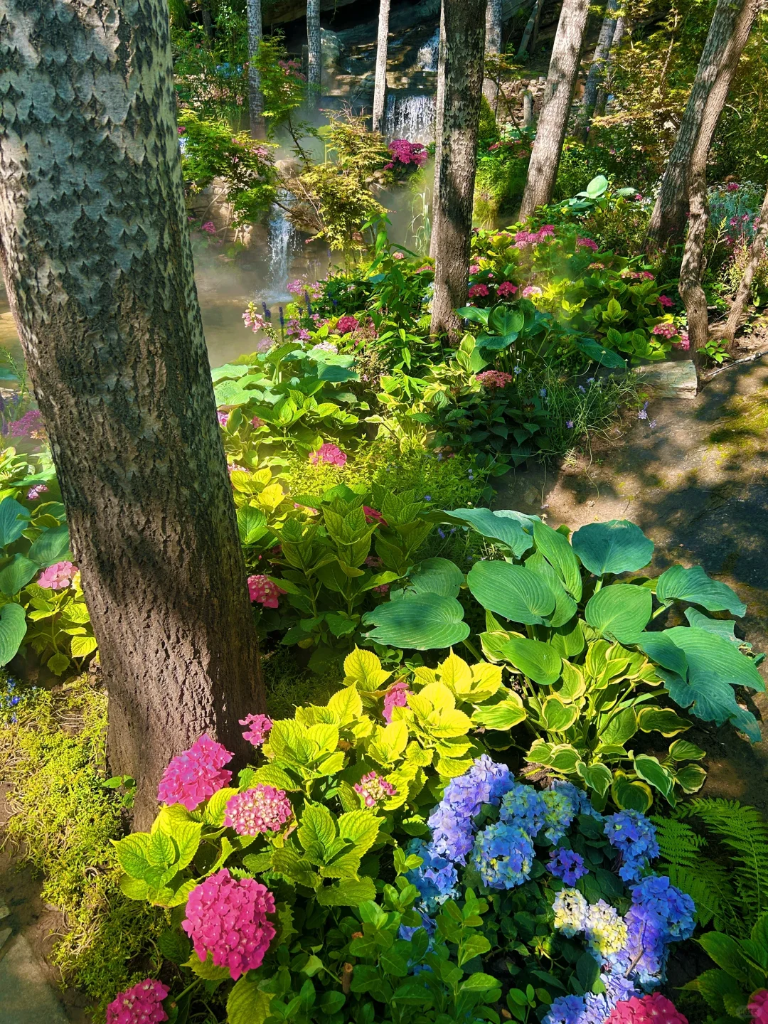 美哭了😭，拍到了同款莫奈花园，亲子友好