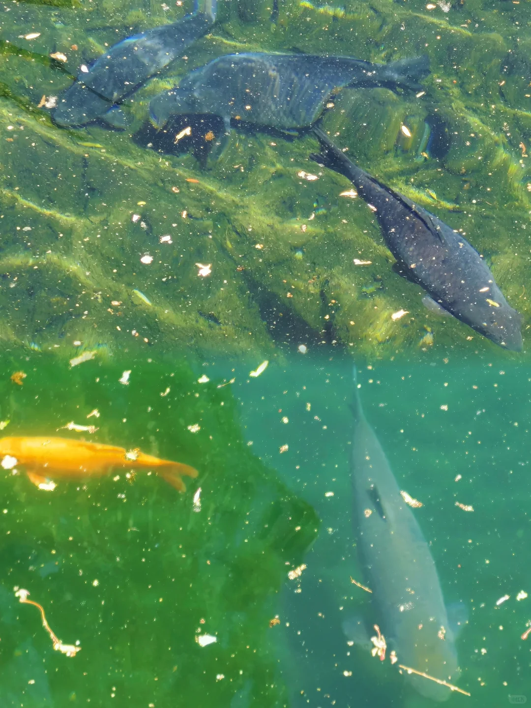 04女大📍济南两日游/附精华版不绕路攻略~