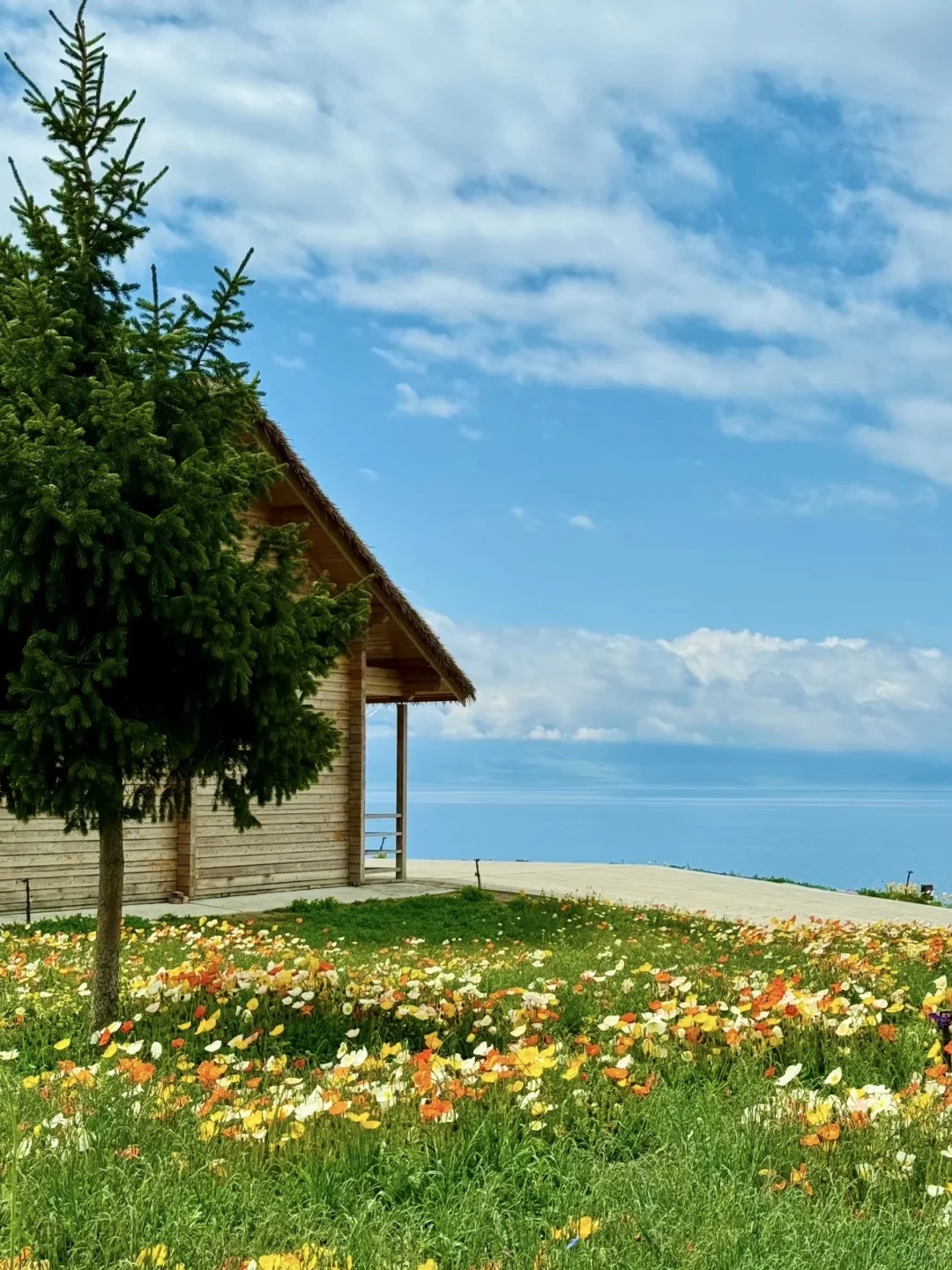 在新疆📍拍到了我的人生live,太美了。。