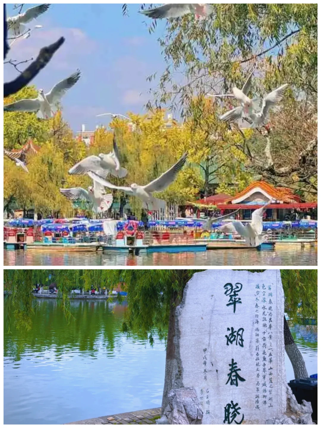 云南亲子游保姆级旅游攻略