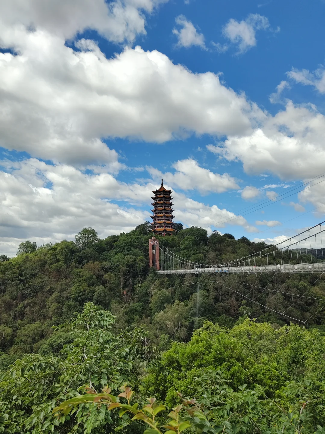 弥勒~不想去网红景点，就来这山顶森林书吧