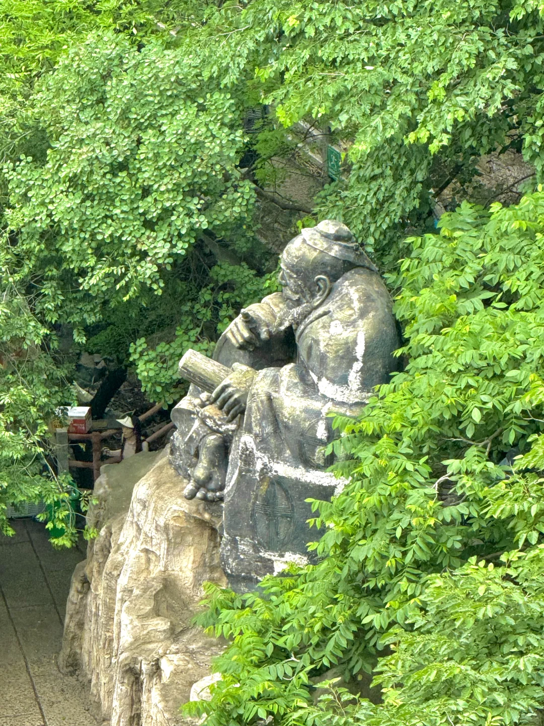 进山吸氧💚解锁小众景点云蒙山一日游攻略版