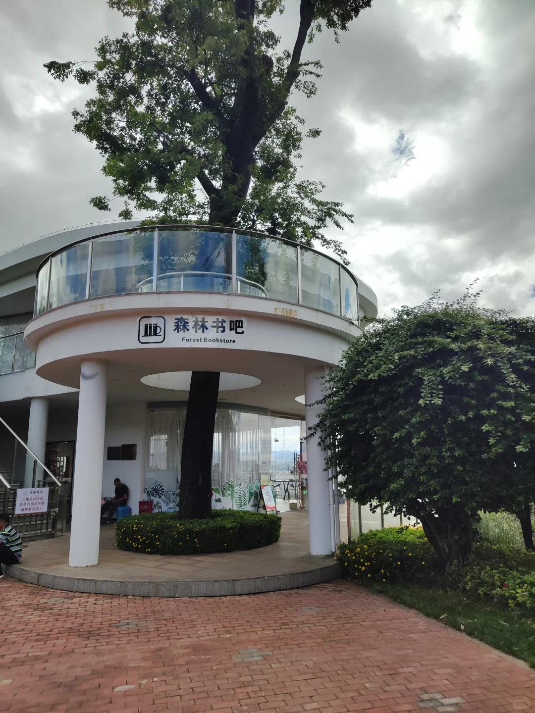 弥勒~不想去网红景点，就来这山顶森林书吧