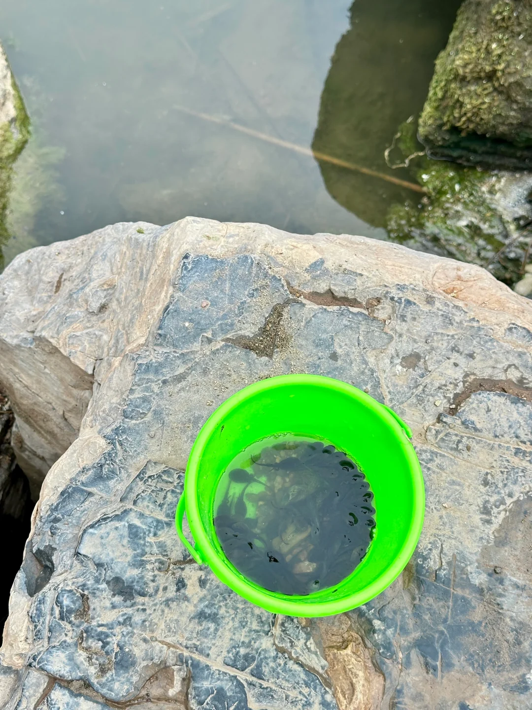 哇噻🤩邯郸的后花园，一不小心闯入绿野仙踪