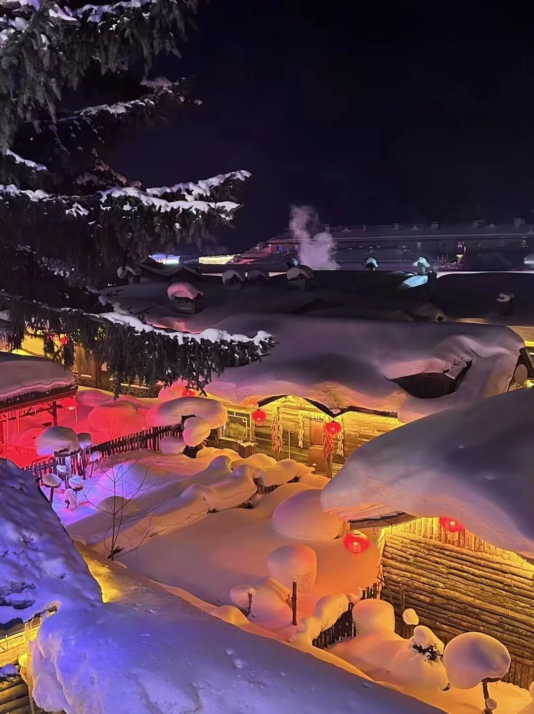 📍雪乡｜童话里的狗熊岭☃️（附攻略）