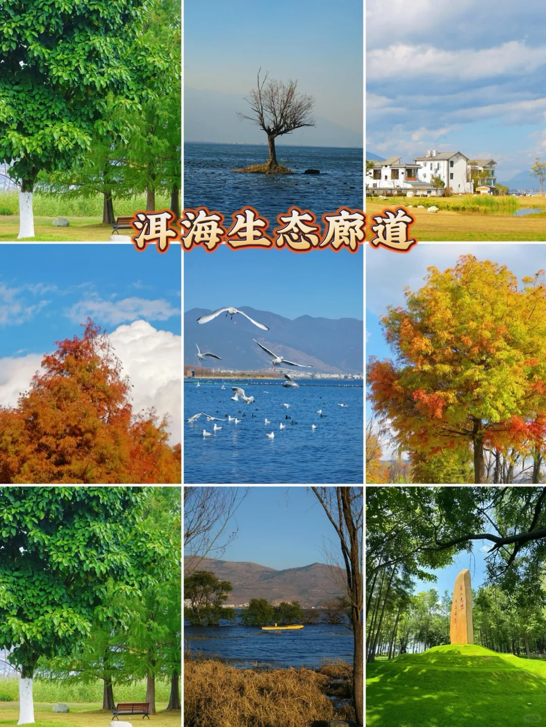 云南亲子游保姆级旅游攻略