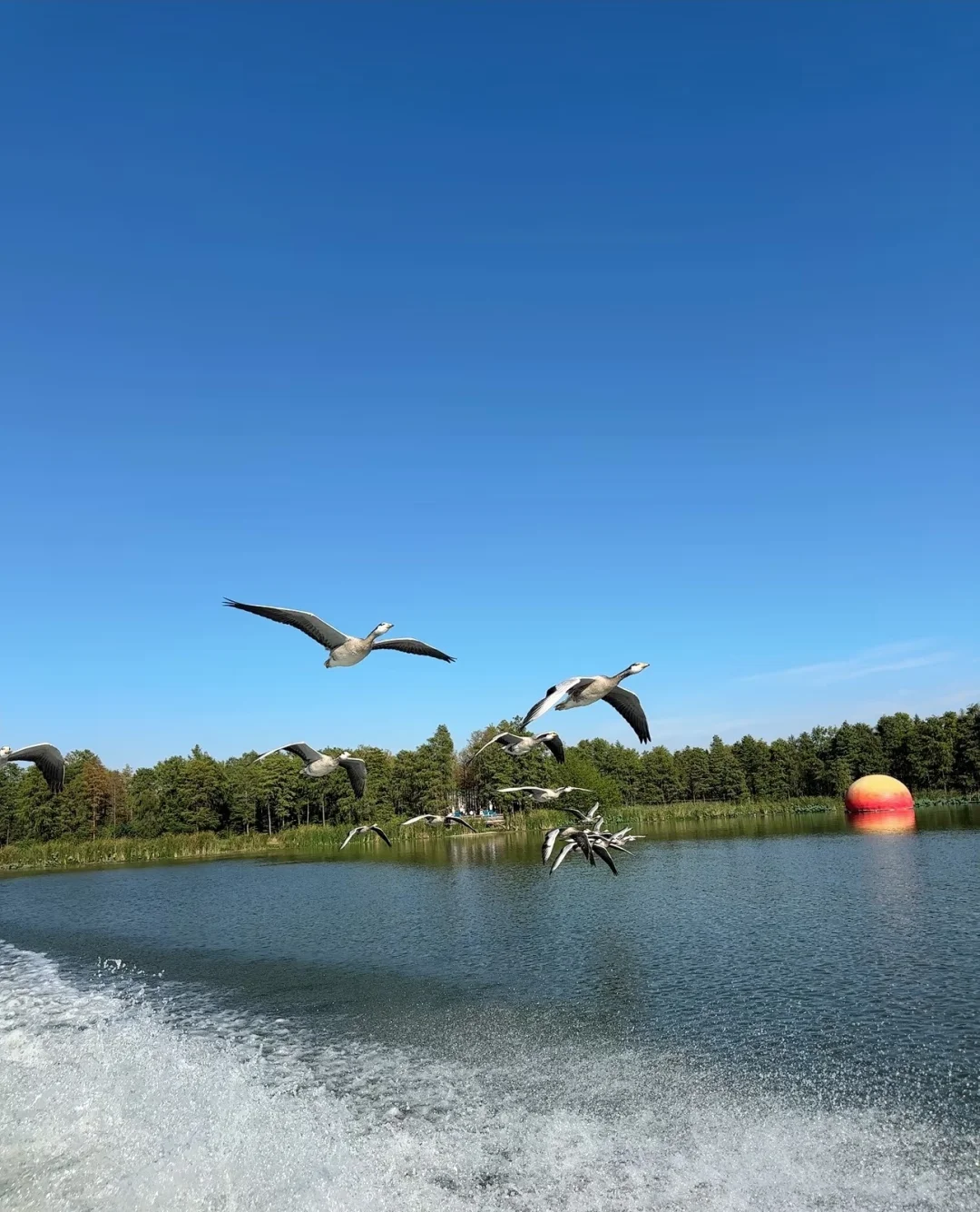 仿佛人间仙境,简直太美了