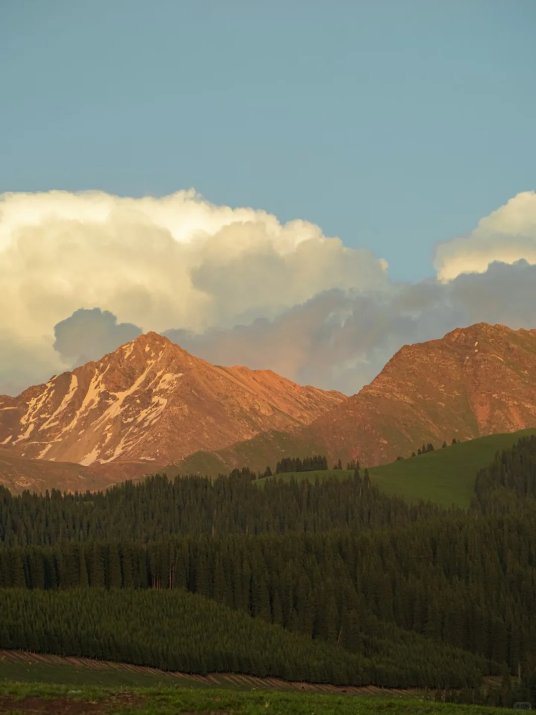 🚐闯进立体草原的童话世界!美到失语!🤪