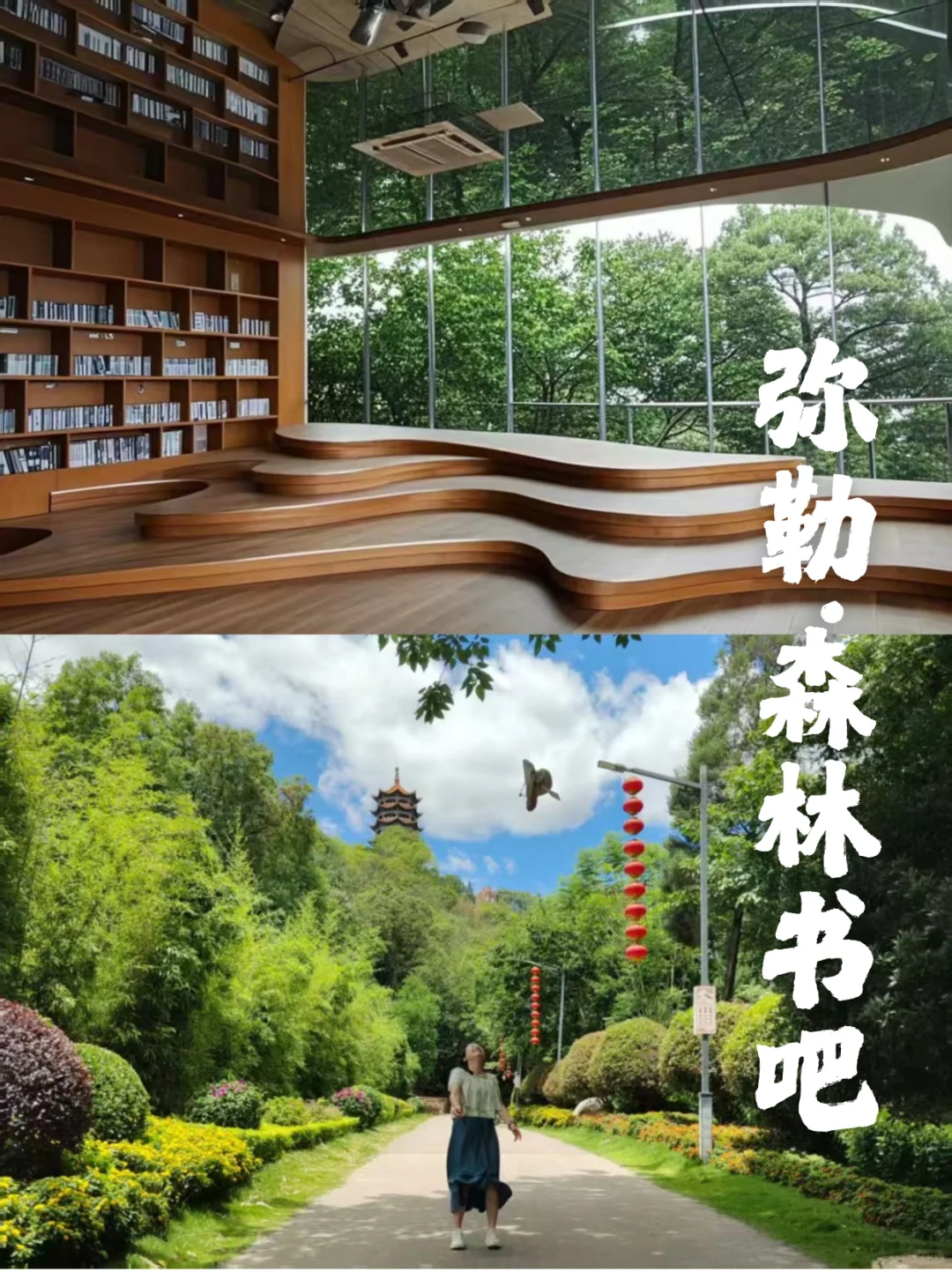 弥勒~不想去网红景点，就来这山顶森林书吧