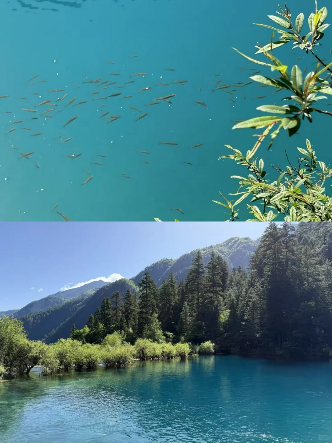住景区内买1天门票=玩3天！还免费接送行李