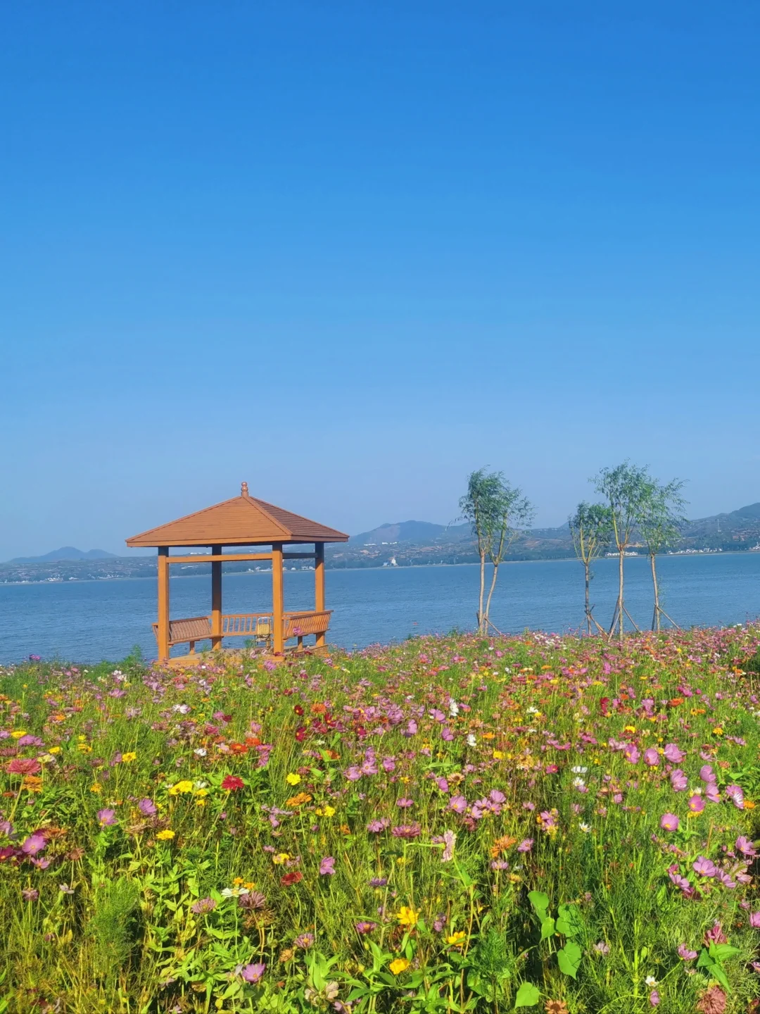 挖蚌、玩水，环游陆浑回来，后劲儿太大了