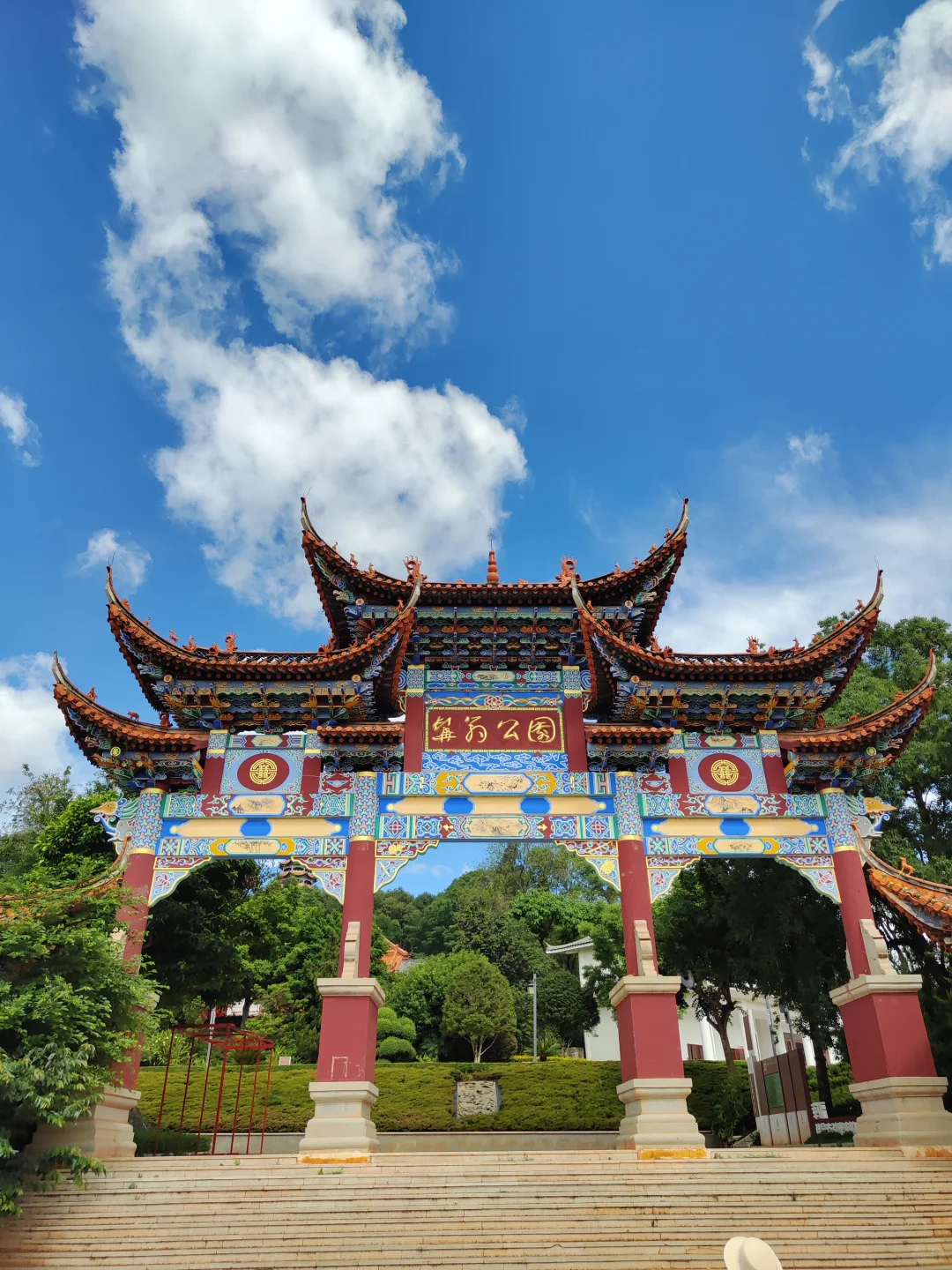 弥勒~不想去网红景点，就来这山顶森林书吧