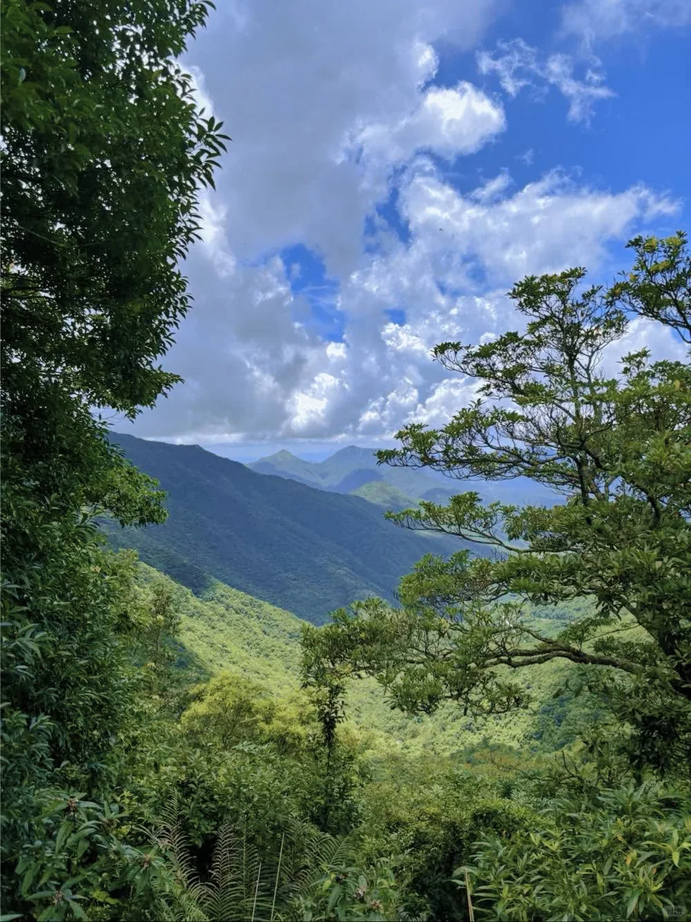 广州2.5h直达❗️朋友都以为我去了武功山