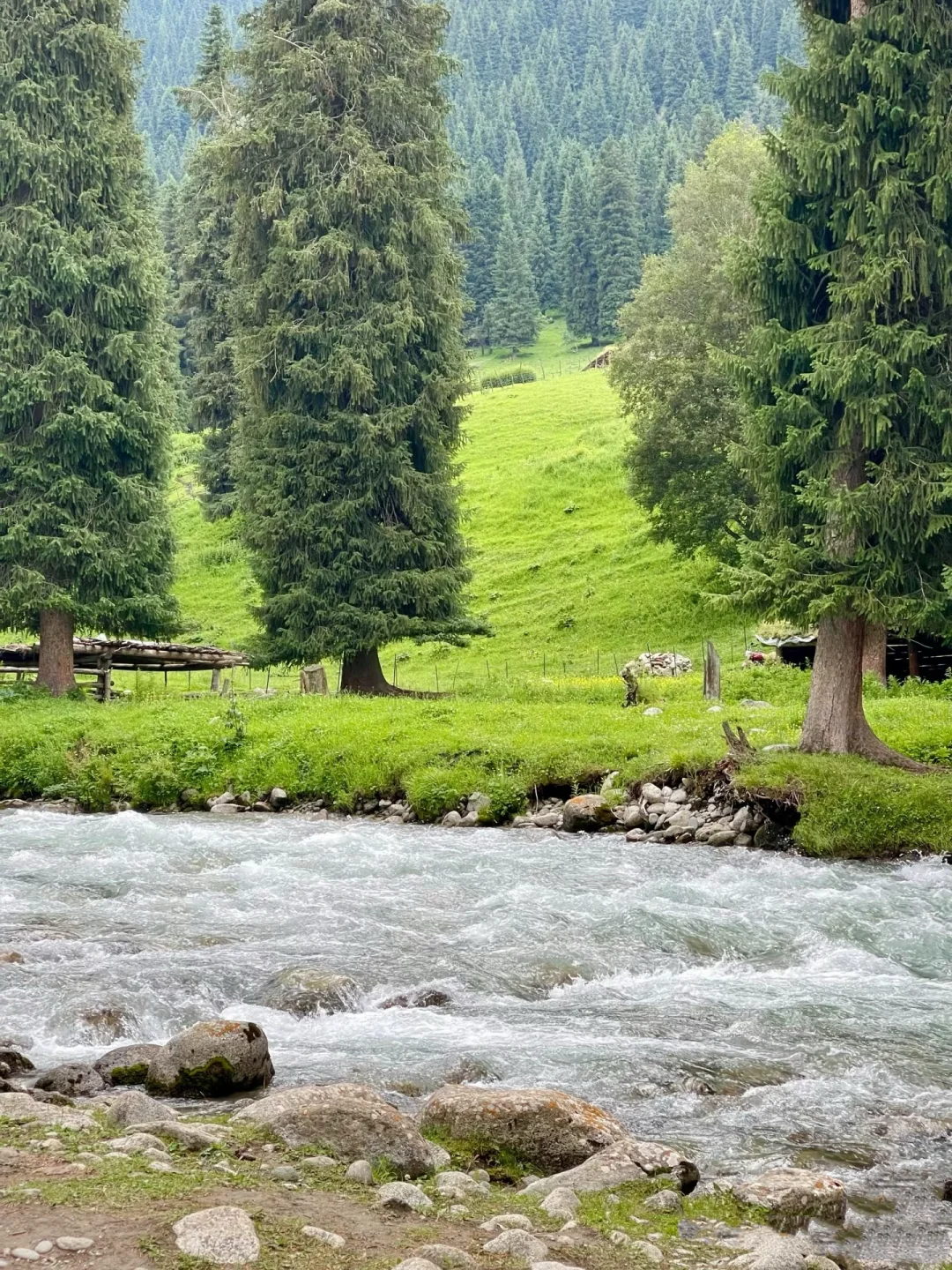 🚐闯进立体草原的童话世界!美到失语!🤪