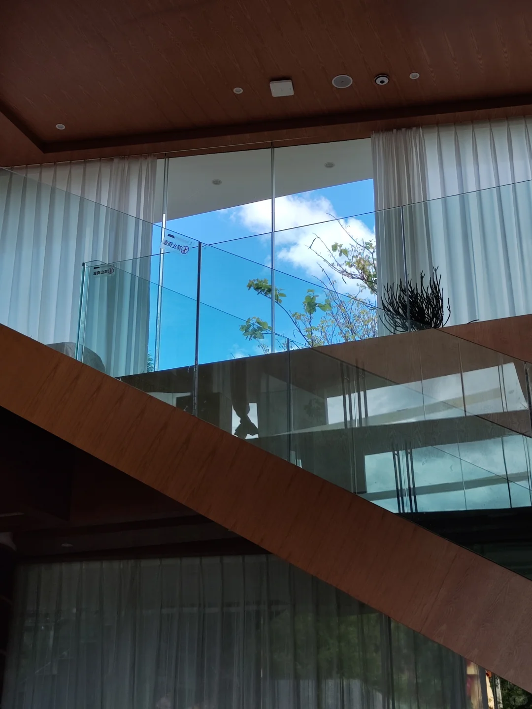 弥勒~不想去网红景点，就来这山顶森林书吧