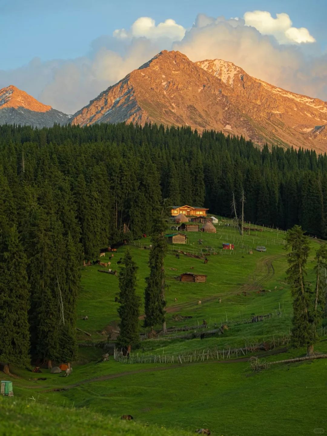 🚐闯进立体草原的童话世界!美到失语!🤪