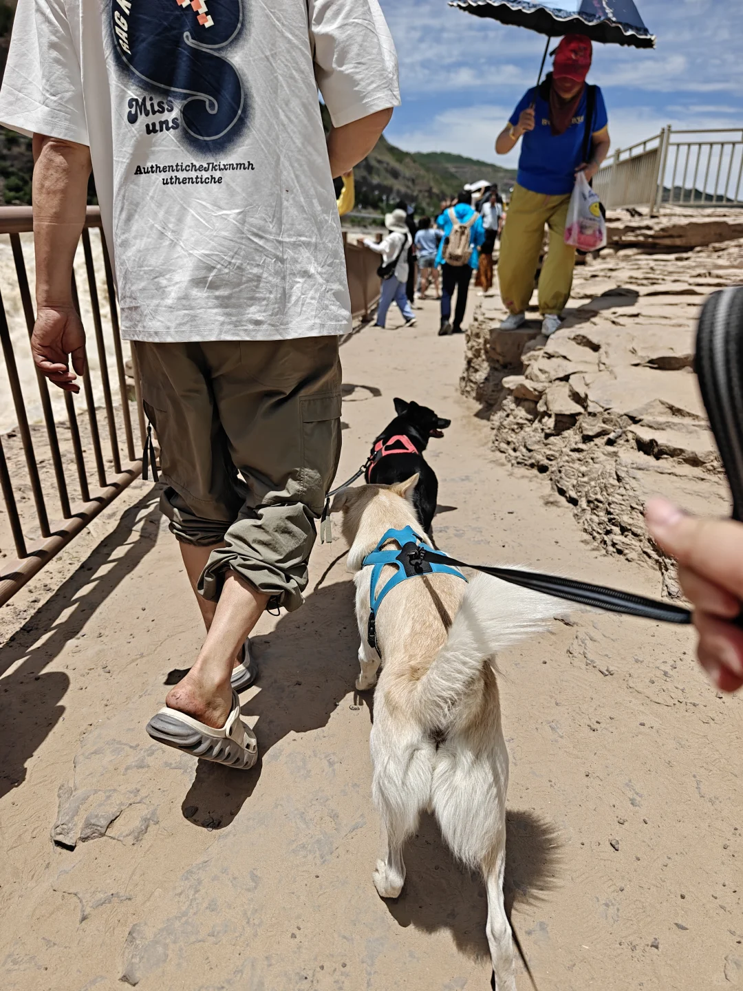 宠物友好景区·壶口瀑布（山西侧）