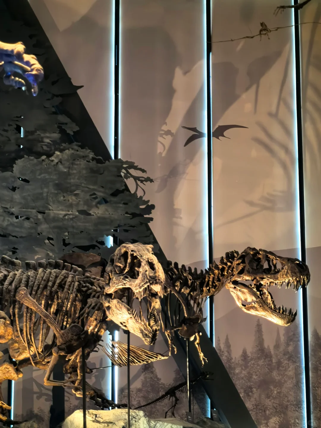 这么近那么美，周末到河北保定出差！