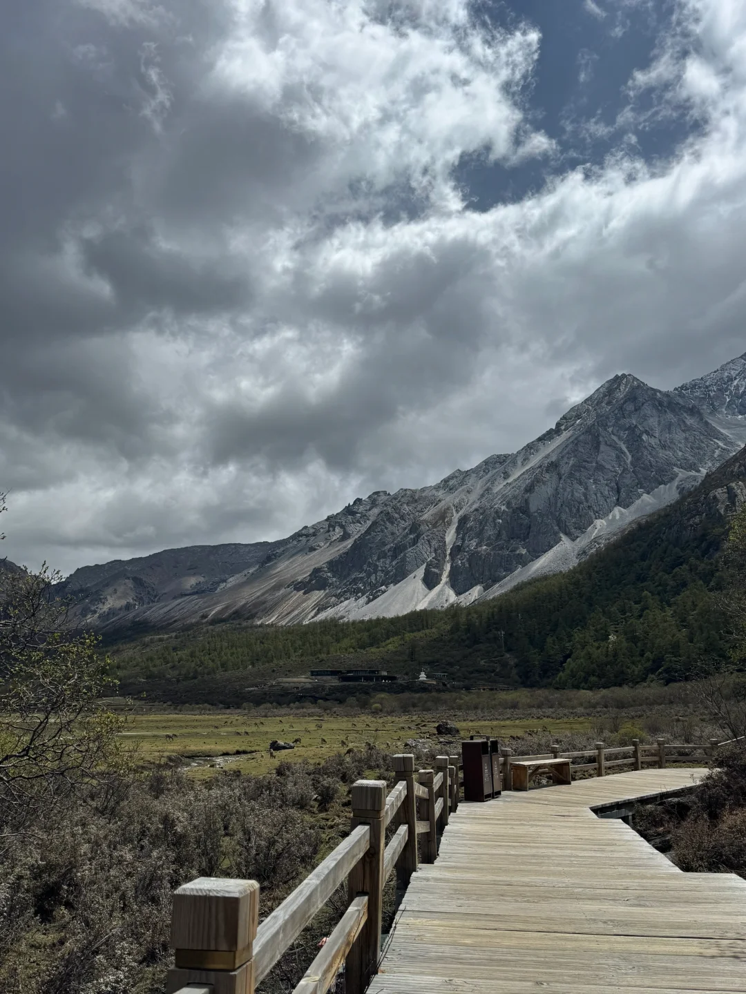 🌧️ 雨雾中的稻城亚丁，贡嘎措已是绝美！