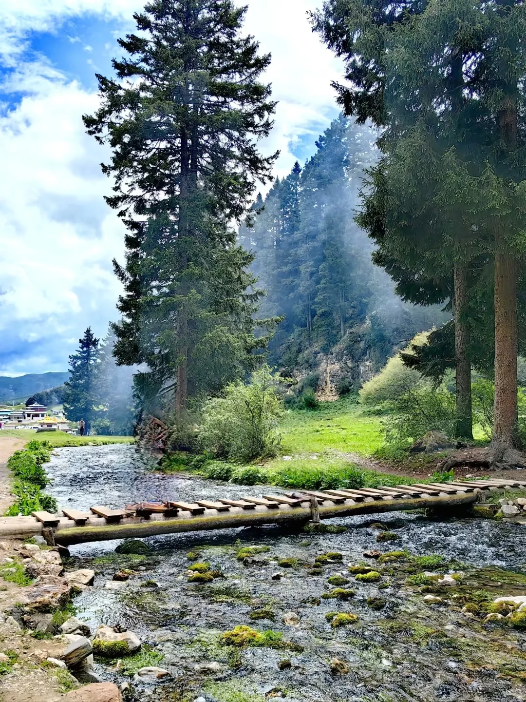 放弃新疆了❗这个夏天去20℃的小众甘南避暑