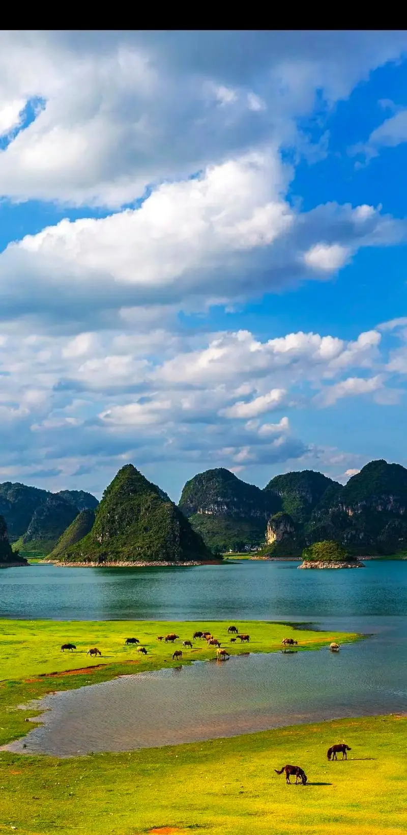 身为城市人看到此景点震惊了