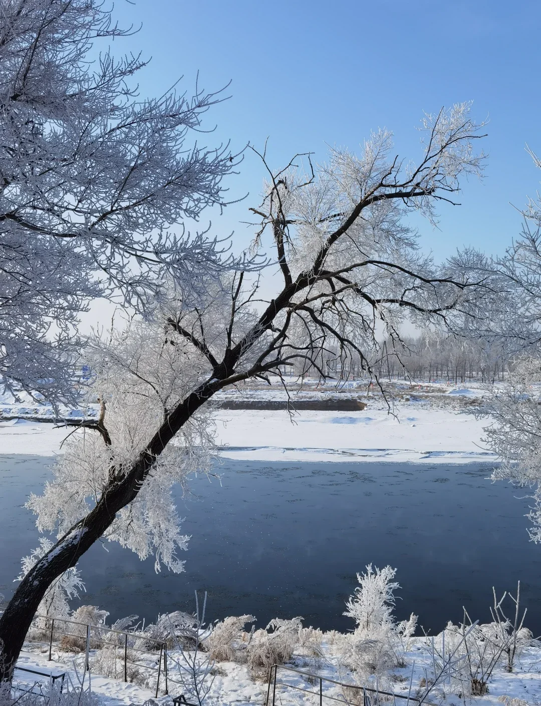 吉林冰雪秘境！冷门景点美到窒息🔥