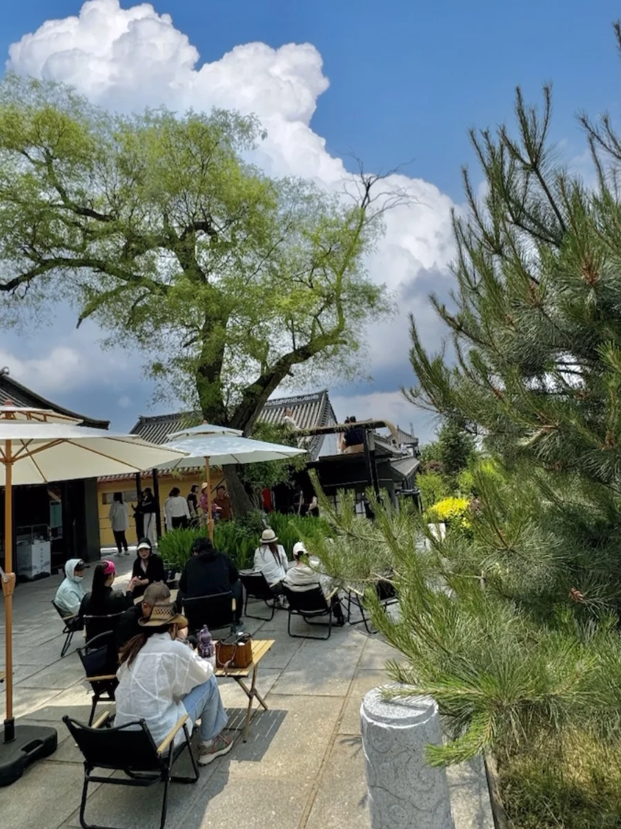 沈阳人嘴真严啊啊啊。。。（免费景点）🙃🙃🙃