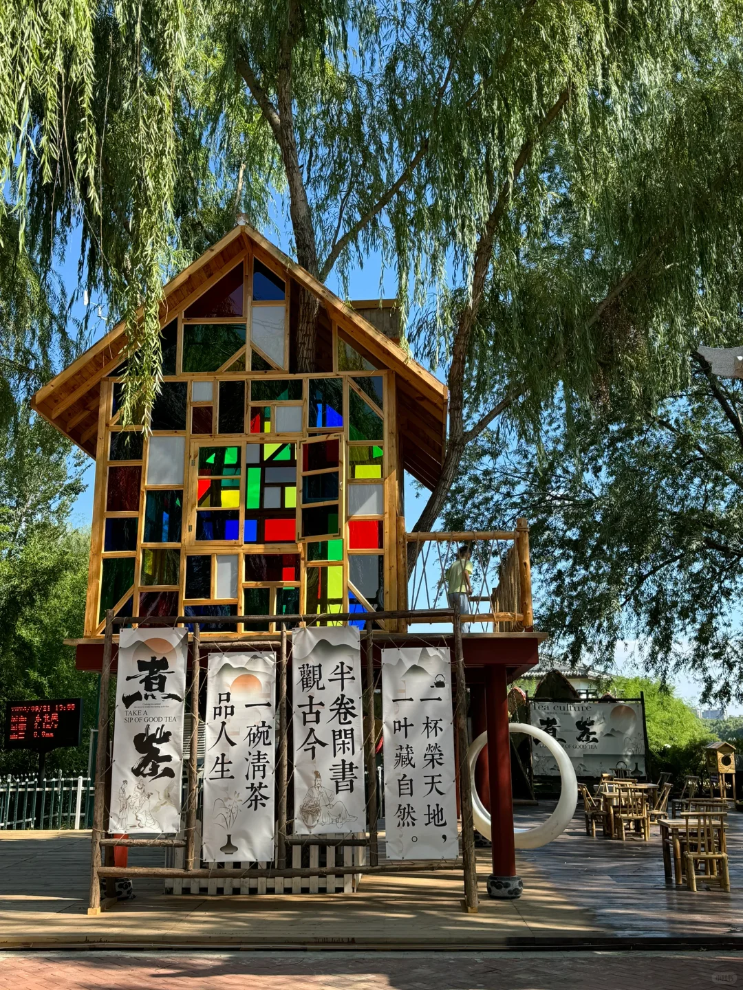 泰安这个免费景点也太安逸啦!