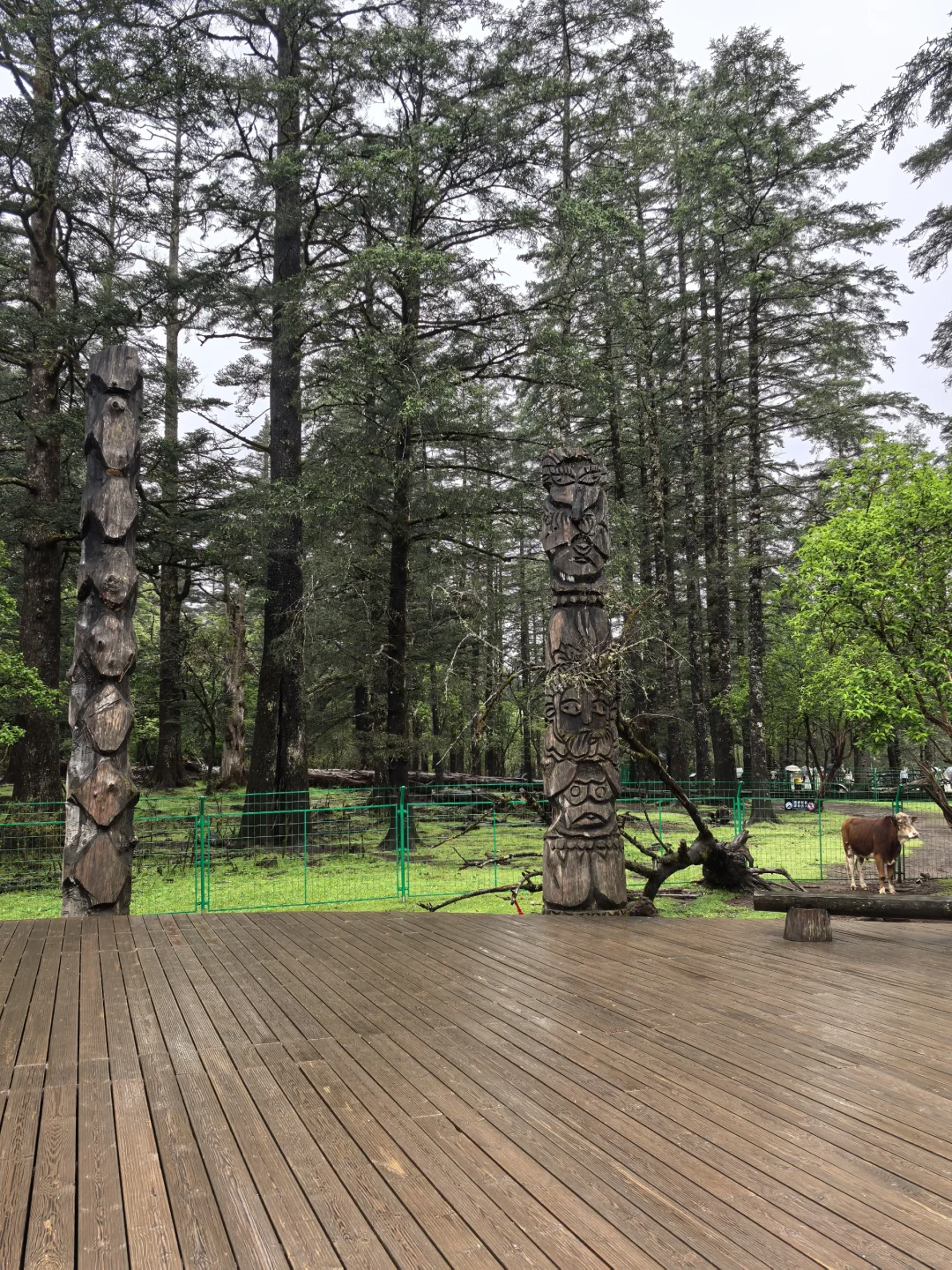 云南旅游攻略巨详细j人版