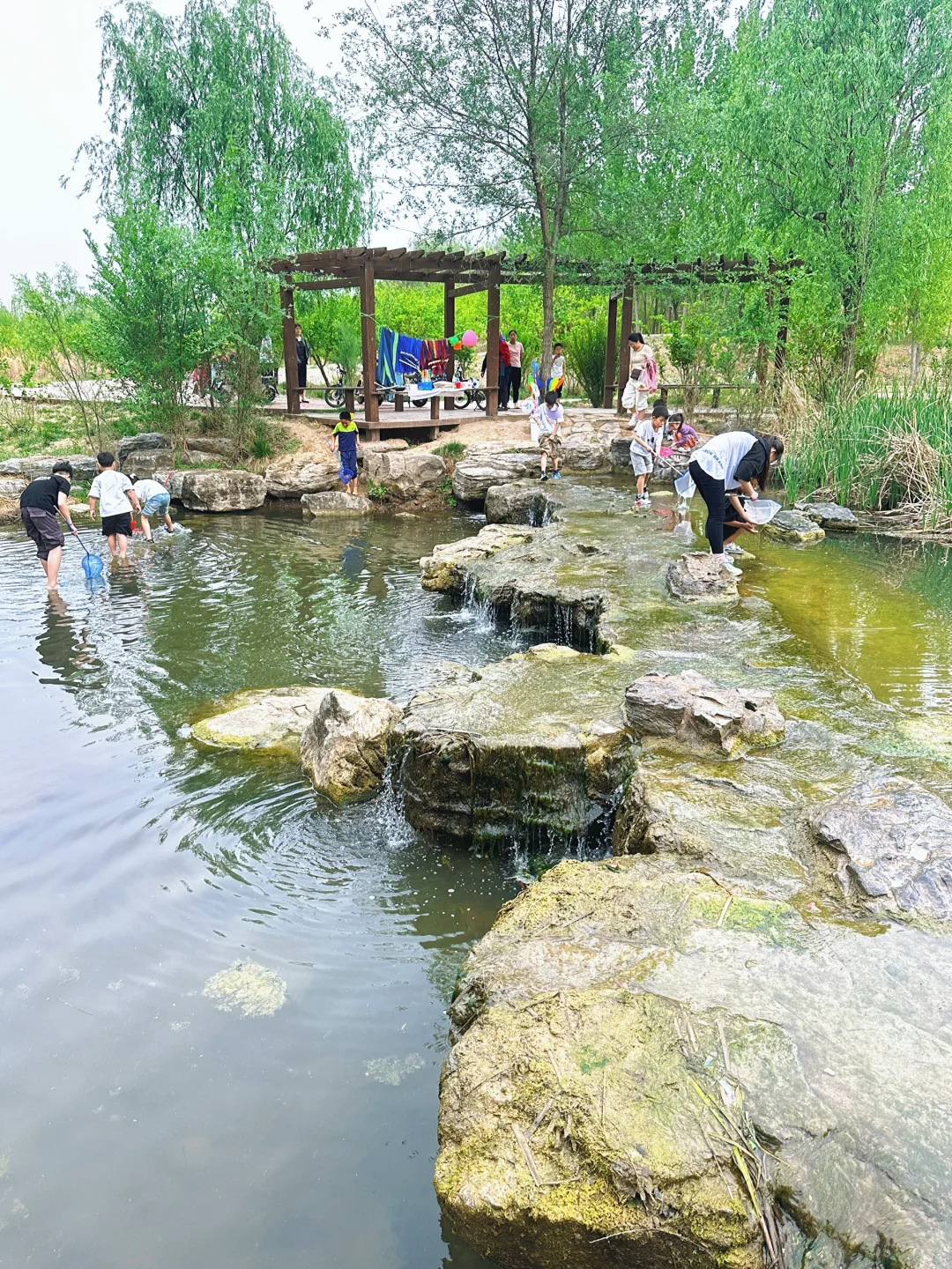 哇噻🤩邯郸的后花园，一不小心闯入绿野仙踪