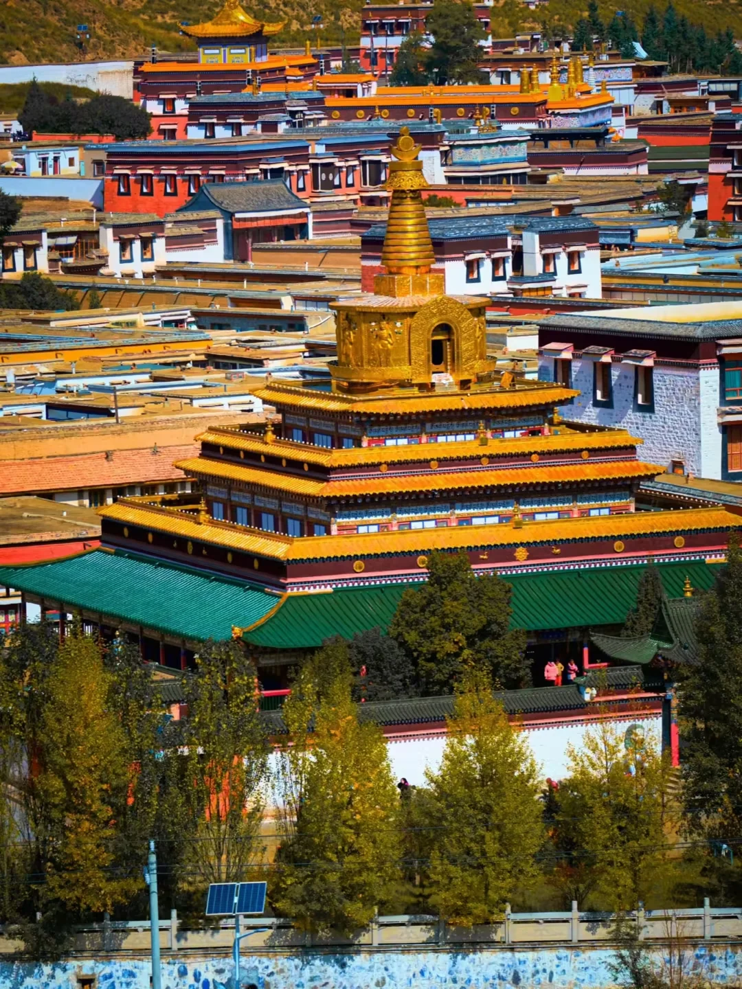 放弃新疆了❗这个夏天去20℃的小众甘南避暑