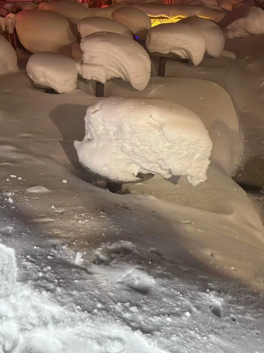 📍雪乡｜童话里的狗熊岭☃️（附攻略）