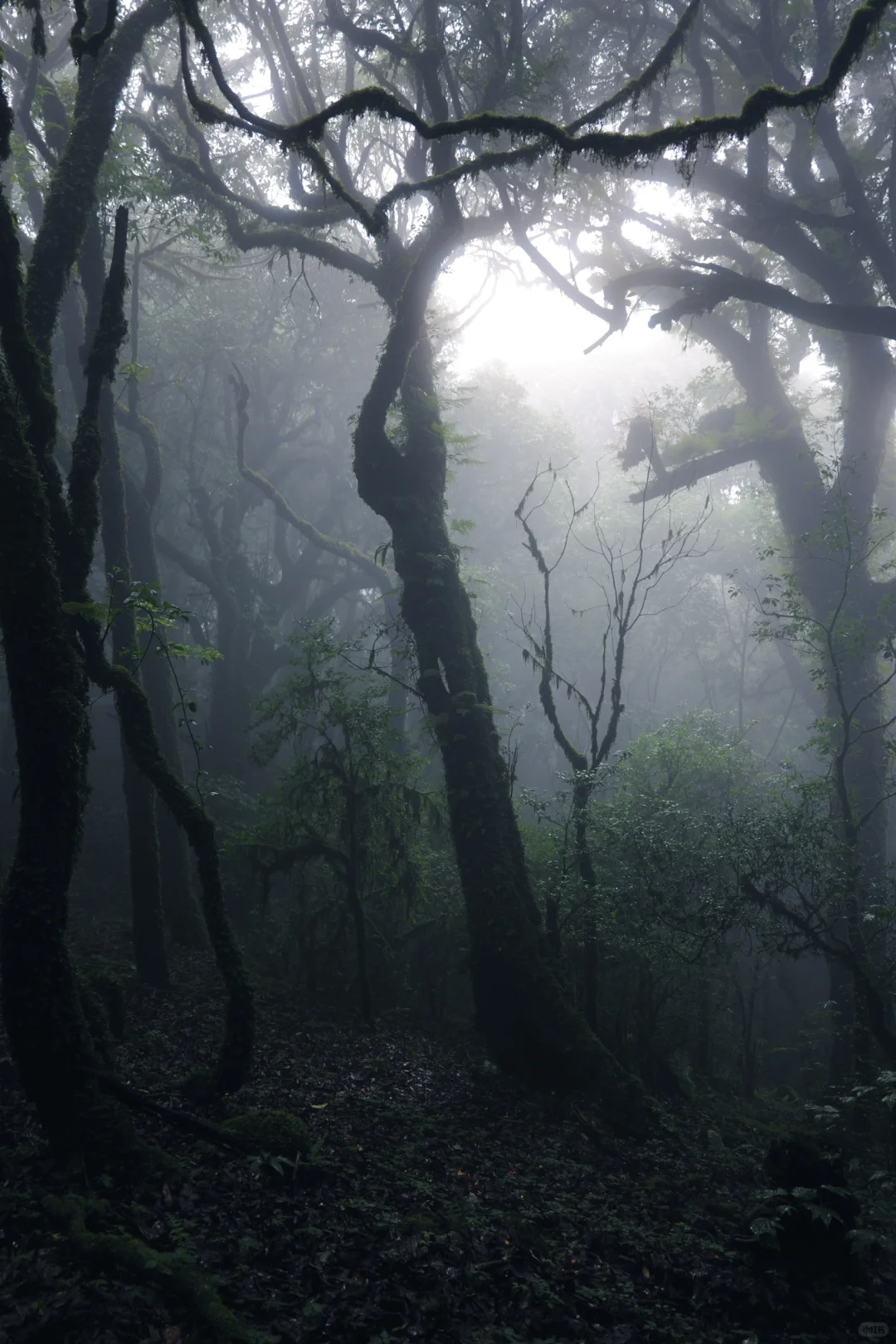 滇西南第一天,终于来到传说中的哀牢山