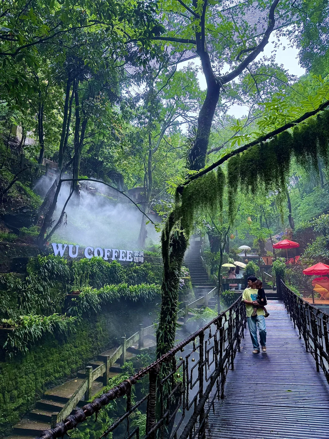 这也太美了！杭州仙桥洞的绿野仙踪🍃