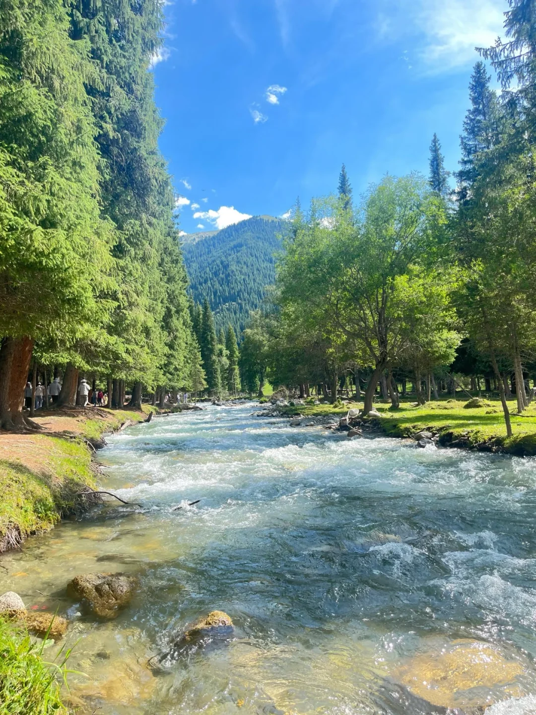 🚐闯进立体草原的童话世界!美到失语!🤪