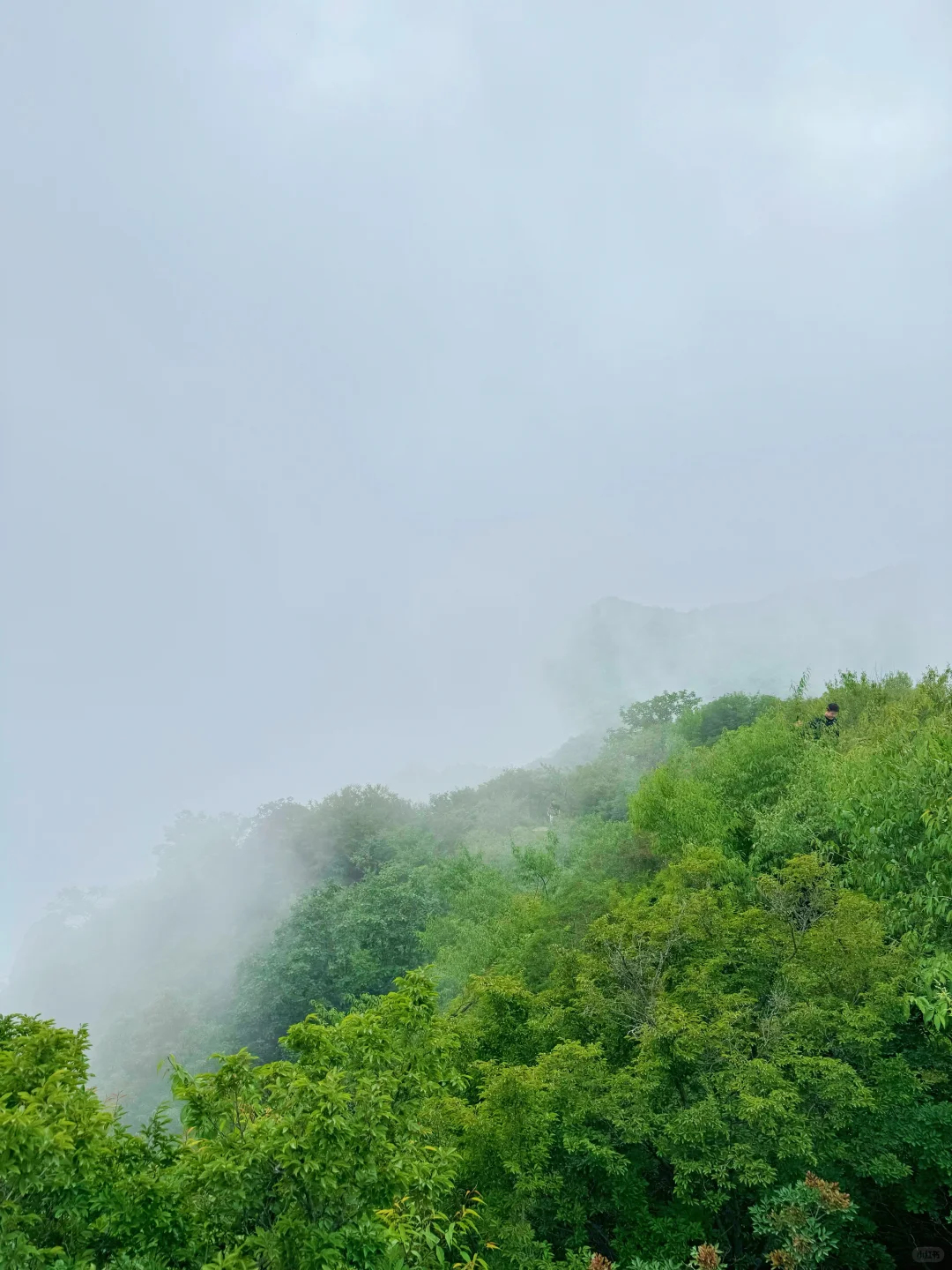 进山吸氧💚解锁小众景点云蒙山一日游攻略版