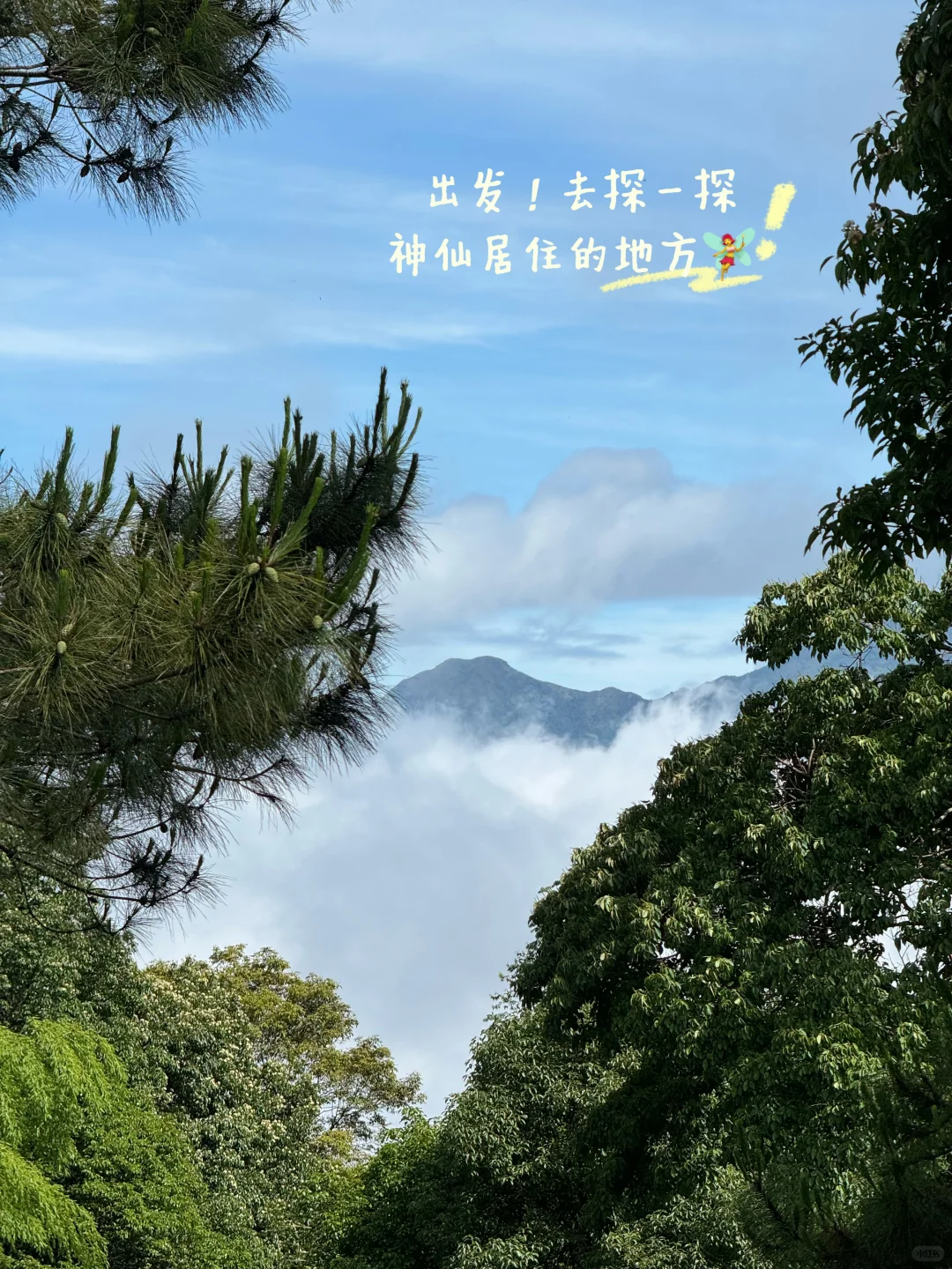 灵通山悬空寺🛕｜当代🐮🐴一有空就旅游攻略