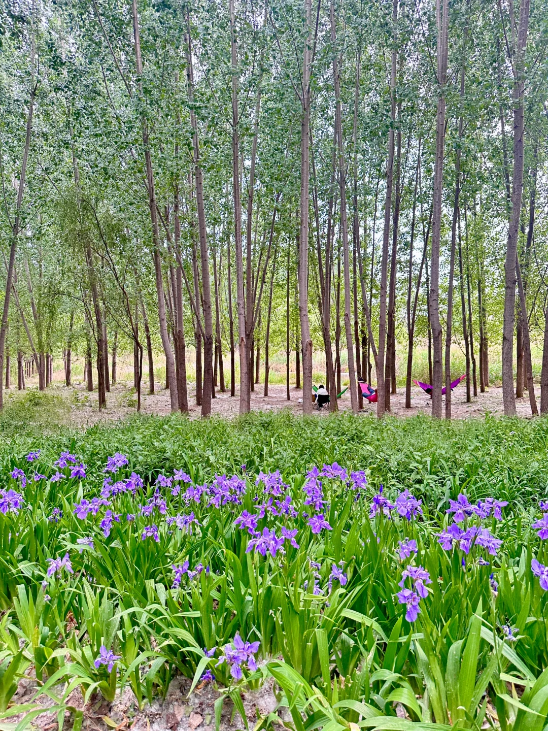 哇噻🤩邯郸的后花园，一不小心闯入绿野仙踪