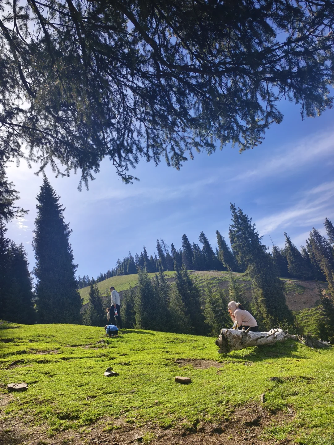 避雷！小渠子！！！