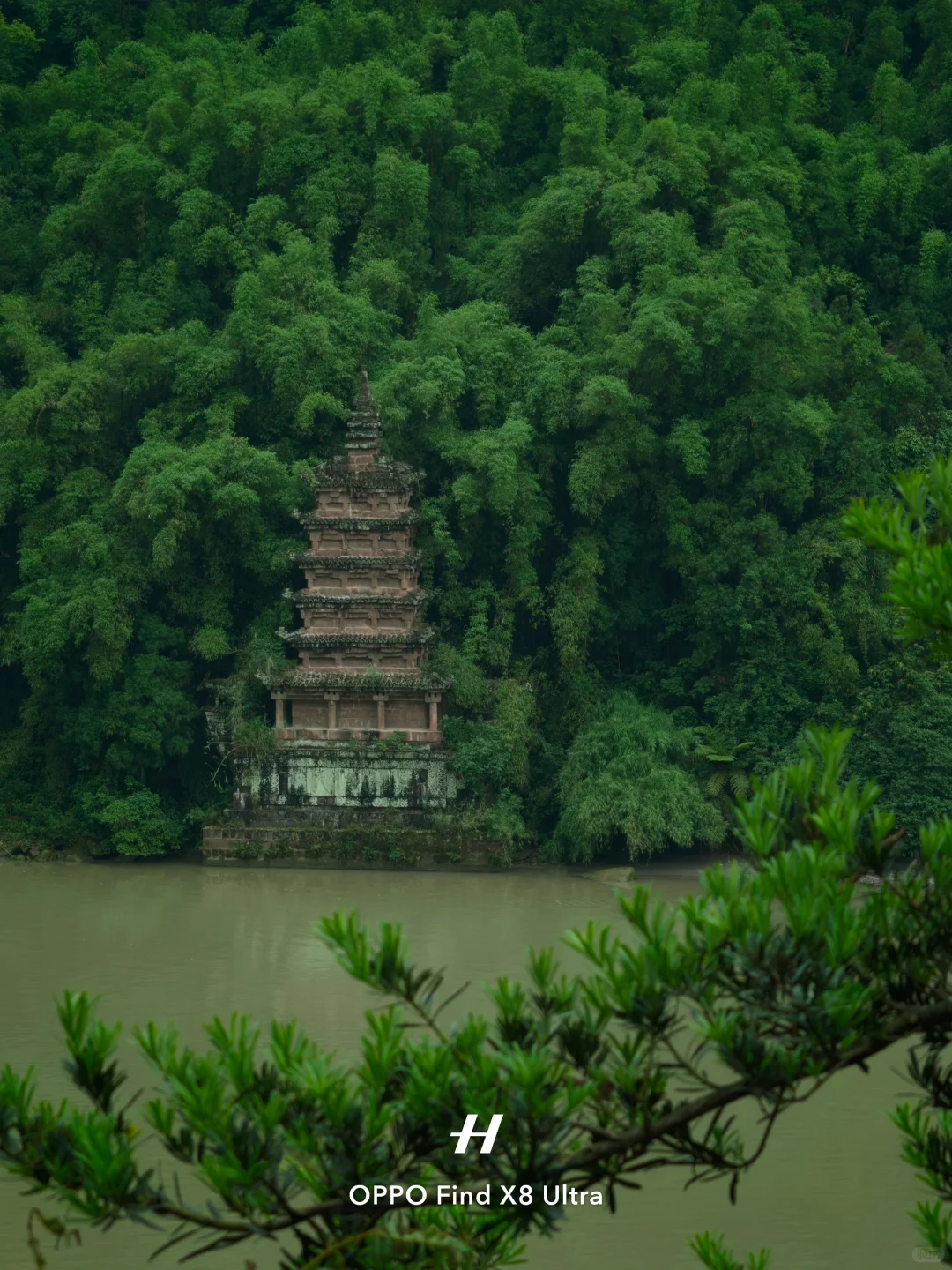 在荒废的景区，我寻到了千塔佛国