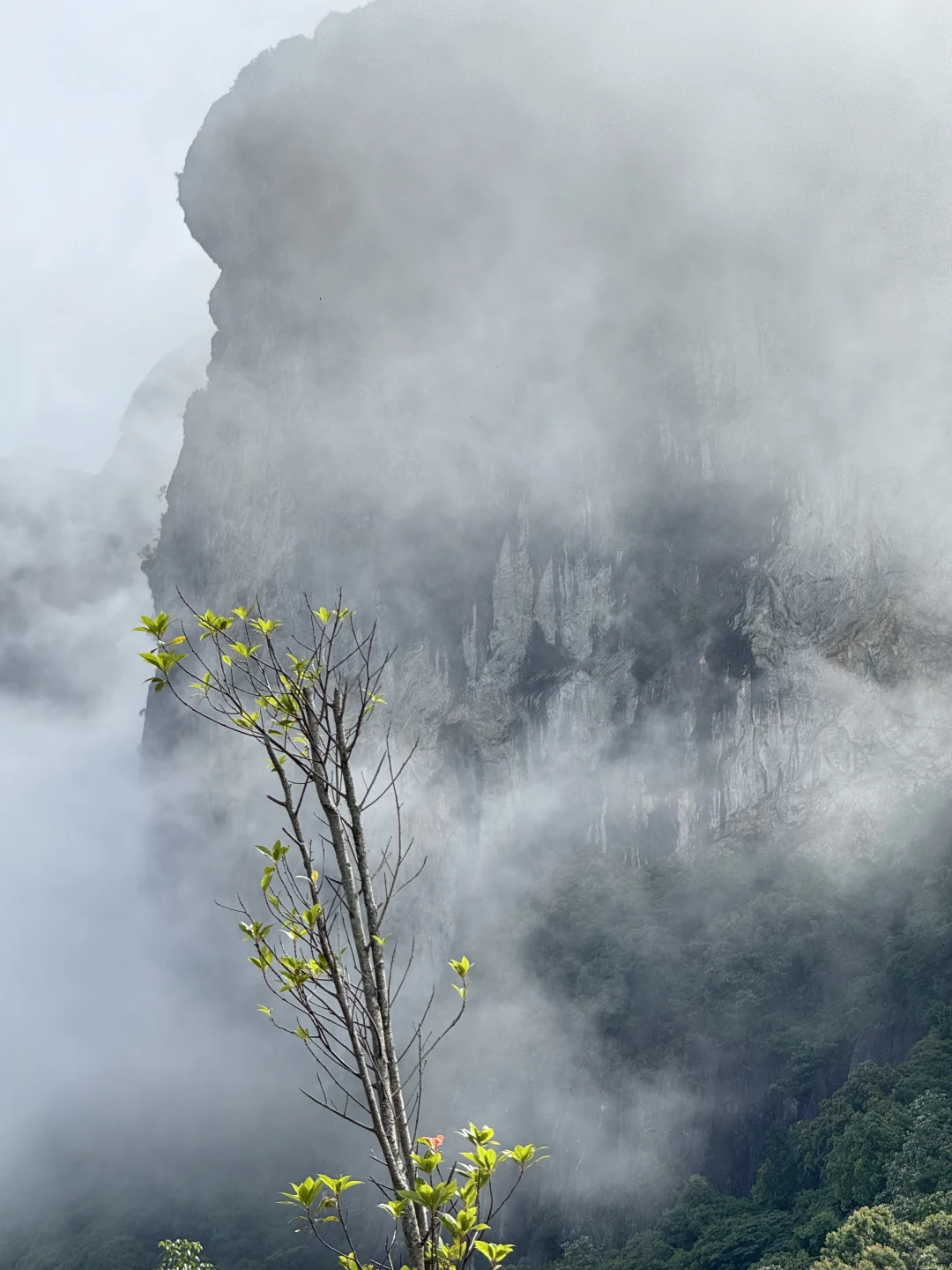 灵通山悬空寺🛕｜当代🐮🐴一有空就旅游攻略