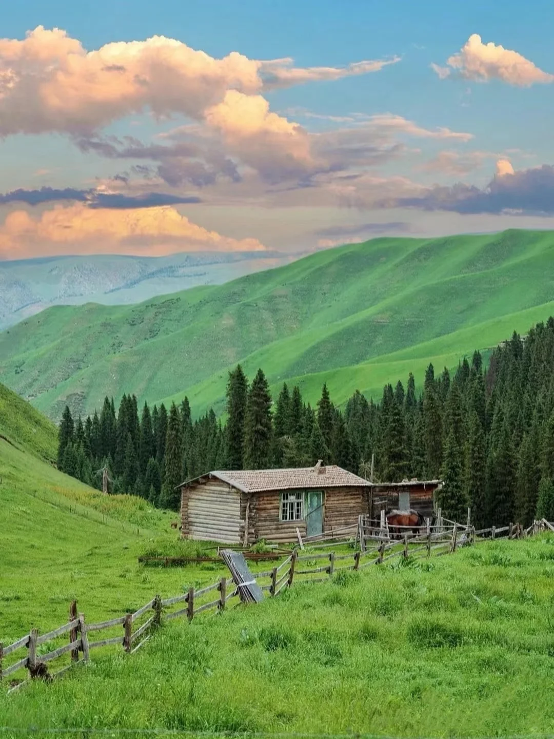 🚐闯进立体草原的童话世界!美到失语!🤪