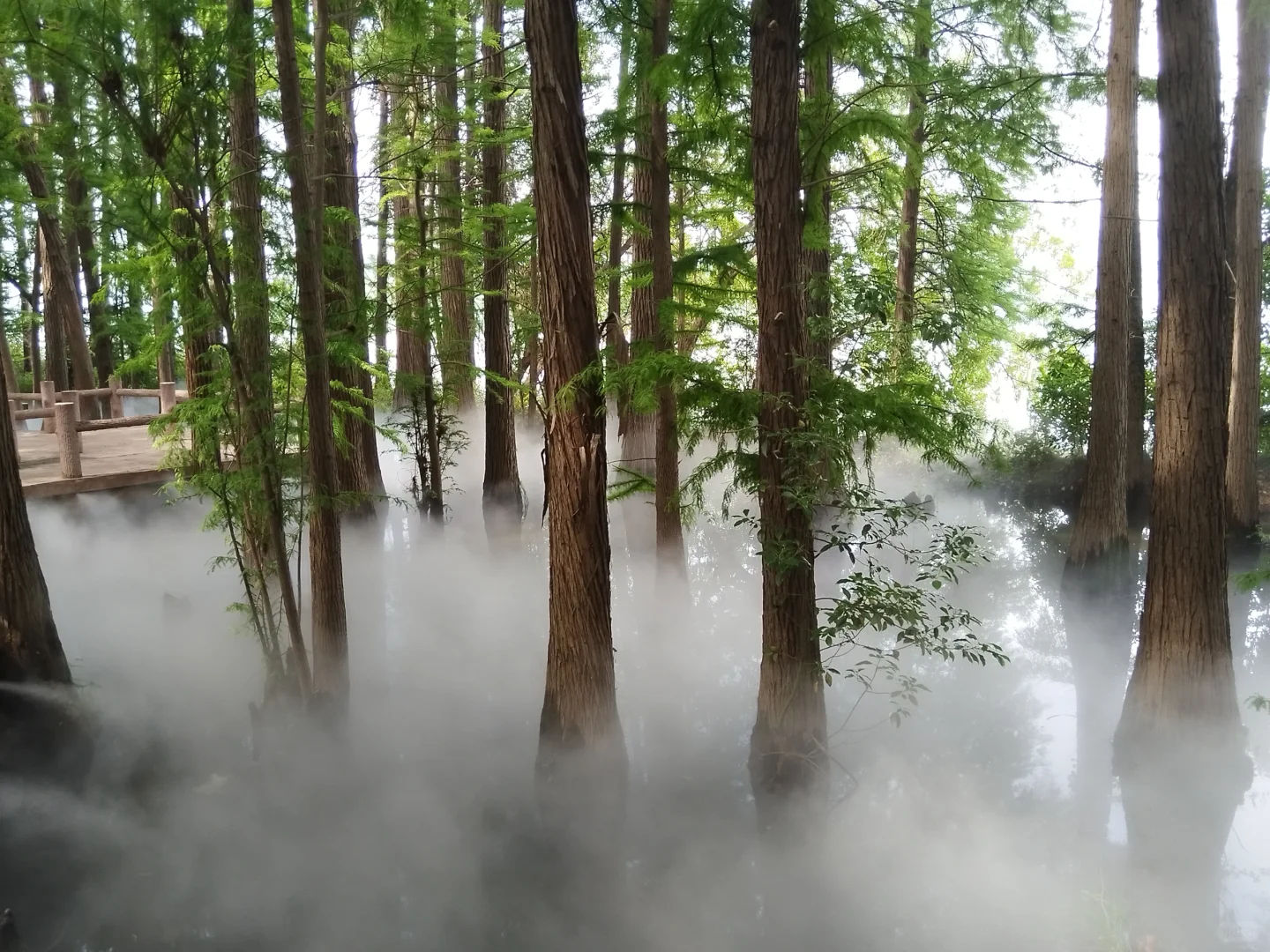 仿佛人间仙境,简直太美了