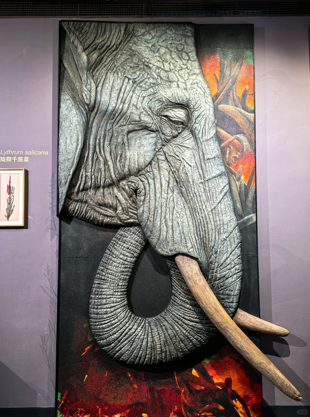 这么近那么美，周末到河北保定出差！