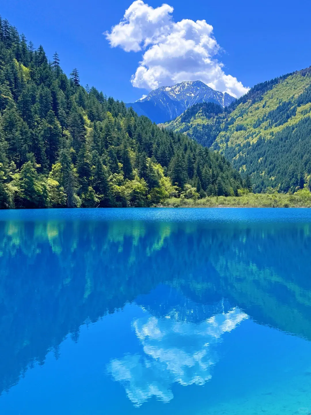 6.2📍九寨沟崩溃已回😭，来听我说实话